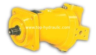 China Variable displacement hydraulic motor A6V55/80/107/160/225 supplier