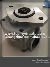China Rexroth Hydraulic Charge pump/gear pump for A10VD43 supplier
