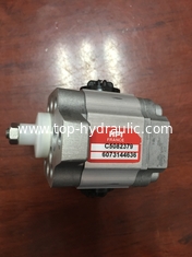 China HPI France Hydraulic Gear pump/Pilot pump P3 AAN 0075 FL 20 B01N，C5082379 supplier