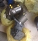 Hydraulic Bent Axial Piston Motor A2FE63/61W-VZL027F supplier