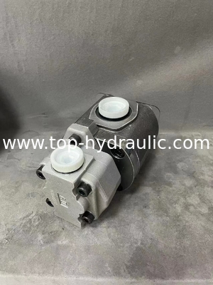 UCHIDA REXROTH AP2D21LV1RS6-987-2 hydraulic double gear pump pilot pump for Excavator supplier