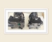 Sauer Danfoss MMF025CA5GFBNNN Materiial No.4253036 Hydraulic Piston Motor for Construction machinery supplier